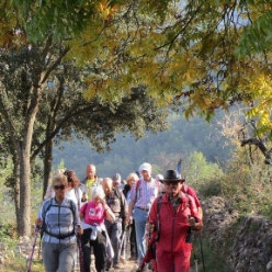 17-11-22-wandern-20