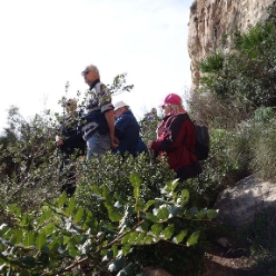 17-01-25-wandern-06