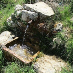 17-05-31-Wandern_05