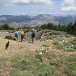 17-05-31-Wandern_07