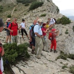 17-05-31-Wandern_19
