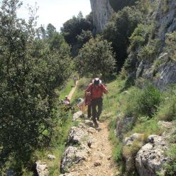 19-05-01-ElsArcs-07