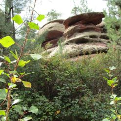 Herbstwandertage in der Sierra de Albarracin - Gruppe 2