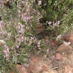 19-10-09-Albarracin-62