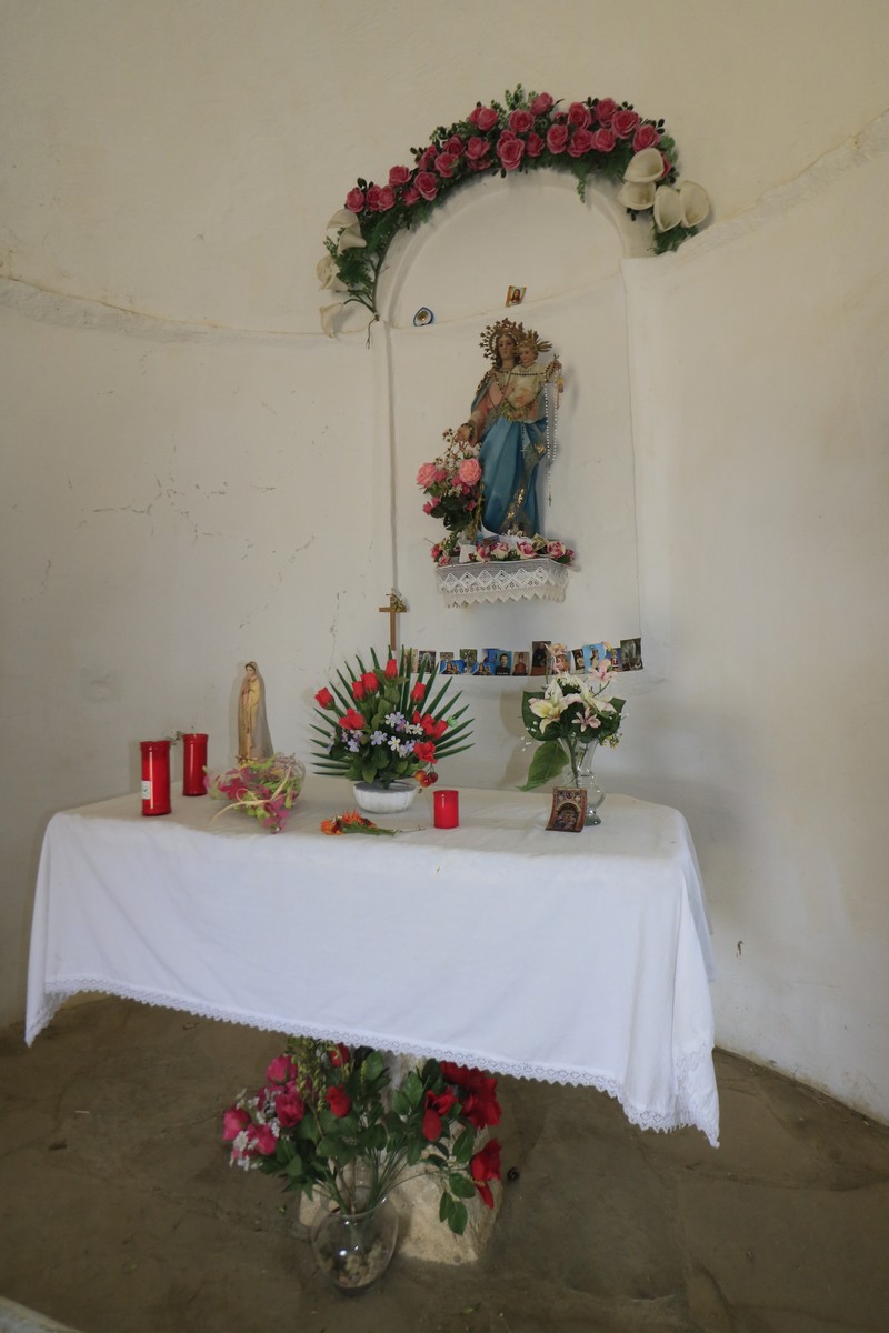 WW2019-2-11