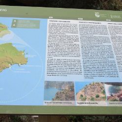 19-03-06-Schmugglerbucht-16