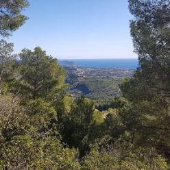 IMG-20191109-WA0014