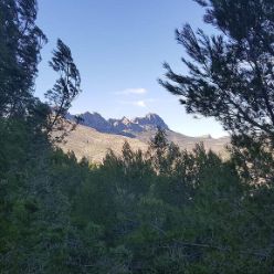 IMG-20191109-WA0016