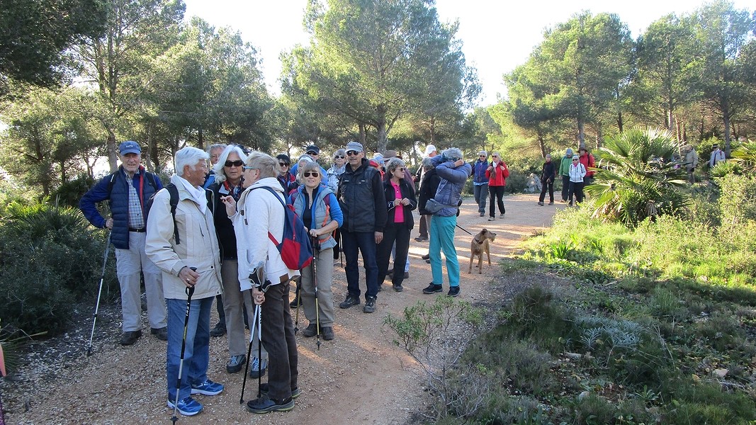 19-01-09-Montgo-02