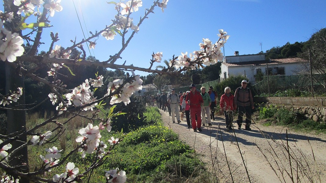 19-01-09-Montgo-17