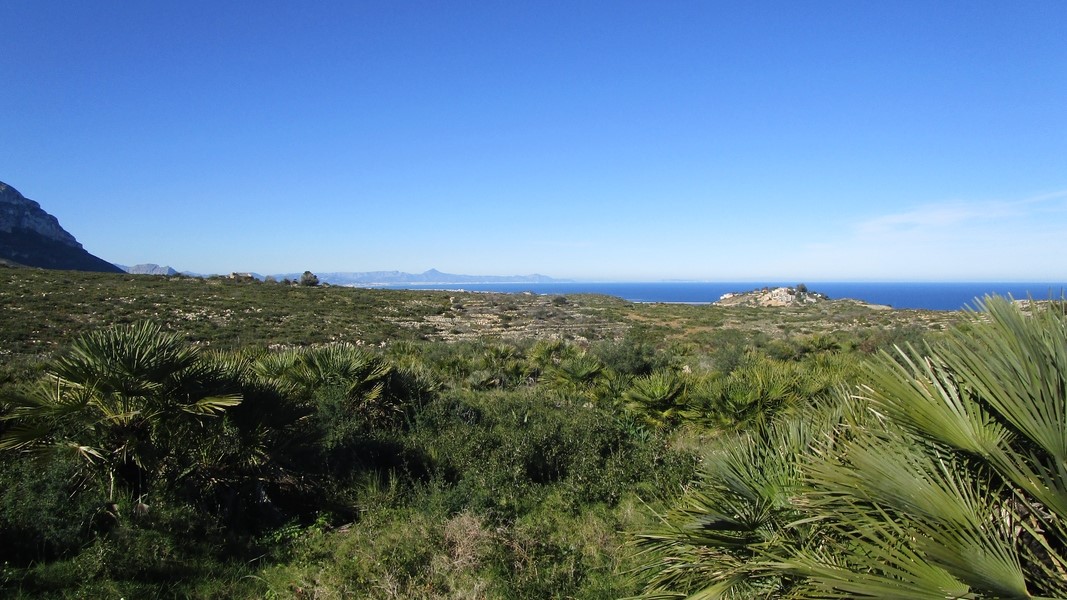 19-01-09-Montgo-20