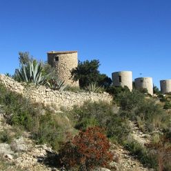 19-01-09-Montgo-07