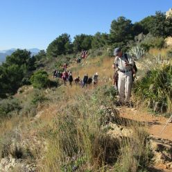 19-01-09-Montgo-08