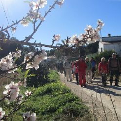 19-01-09-Montgo-17
