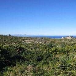 19-01-09-Montgo-20