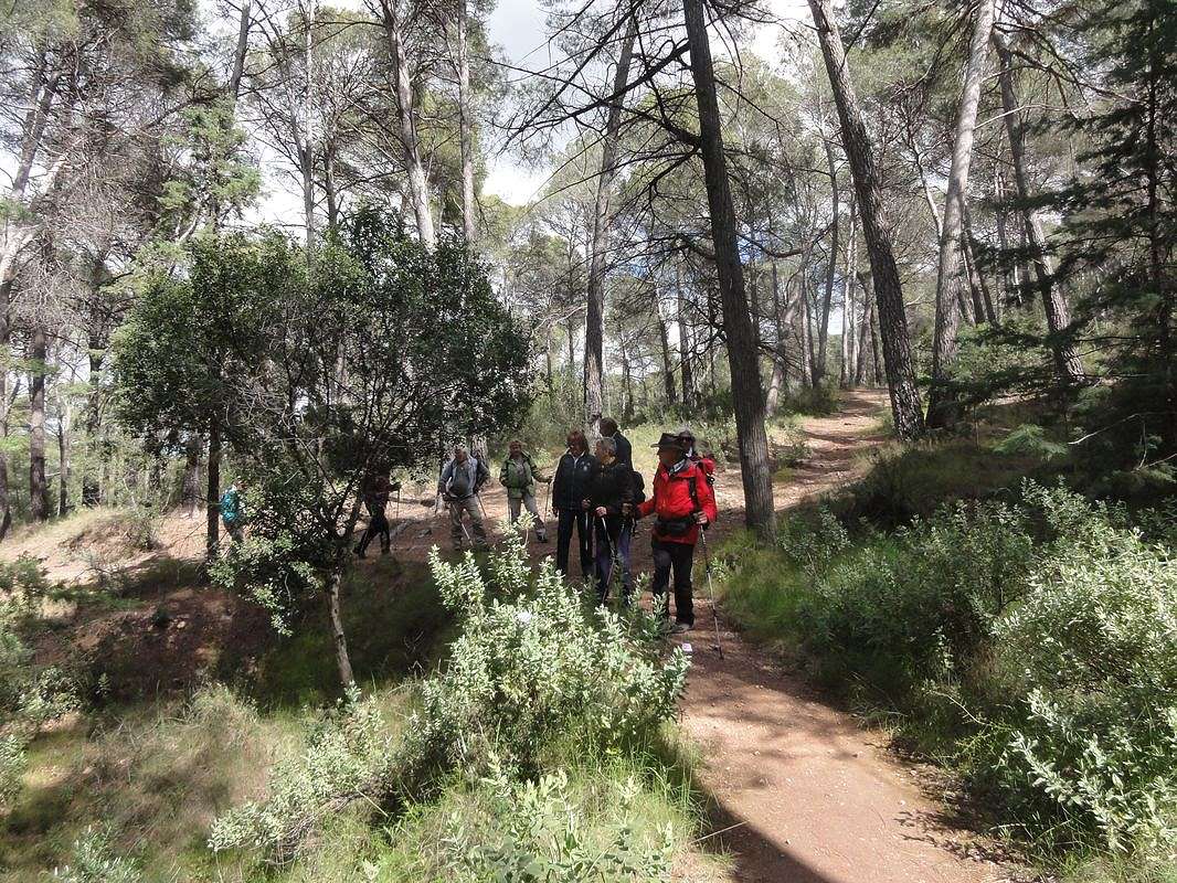 19-04-10-Espuna-06