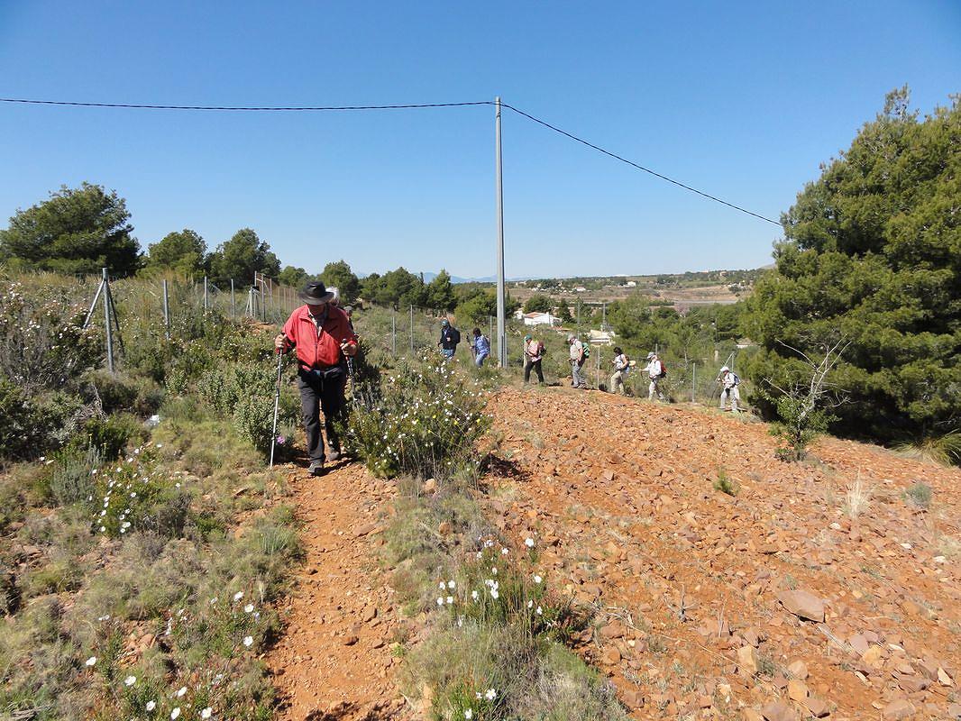 19-04-10-Espuna-42