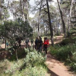 19-04-10-Espuna-06