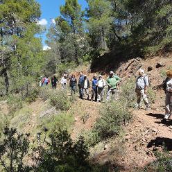 19-04-10-Espuna-12