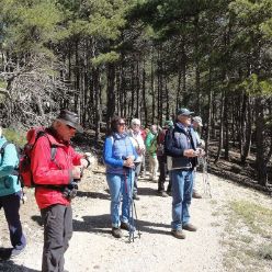 19-04-10-Espuna-18