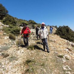 19-04-10-Espuna-19