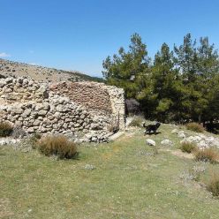 19-04-10-Espuna-22