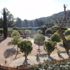 19-04-10-Espuna-31