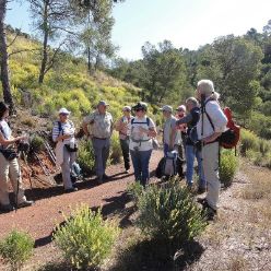 19-04-10-Espuna-34