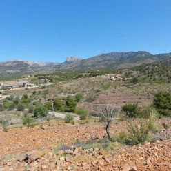 19-04-10-Espuna-41