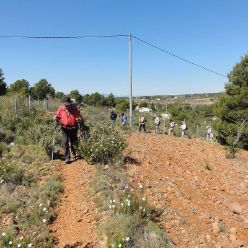 19-04-10-Espuna-42
