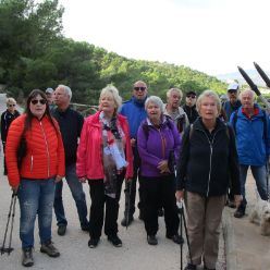 19-12-11-Albir-04