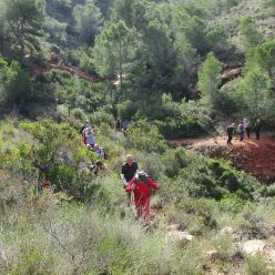 19-12-11-Albir-12
