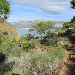 19-12-11-Albir-13