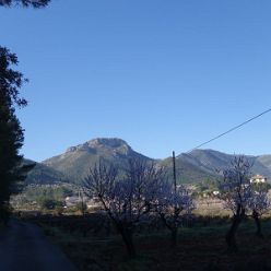 19-02-13-Mandelbluetenwanderung-Jalontal-02