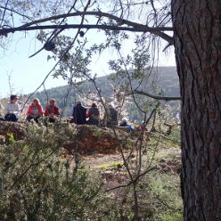 19-02-13-Mandelbluetenwanderung-Jalontal-06