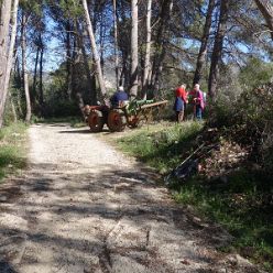 19-02-13-Mandelbluetenwanderung-Jalontal-07