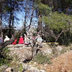 19-02-13-Mandelbluetenwanderung-Jalontal-14