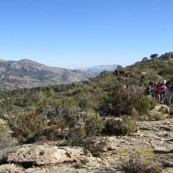 19-02-13-Mandelbluetenwanderung-Sierra-La-Devesa-07