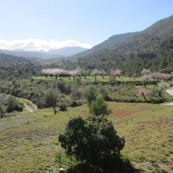 19-02-13-Mandelbluetenwanderung-Sierra-La-Devesa-12