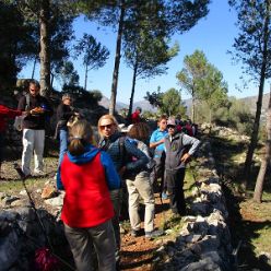 19-02-13-Mandelbluetenwanderung-Sierra-La-Devesa-17
