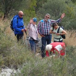 19-03-13-sierra-de-mediodia-05