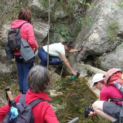 19-03-13-sierra-de-mediodia-20