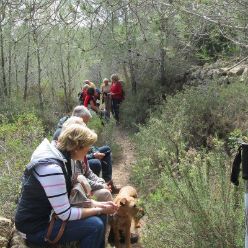 19-03-13-sierra-de-aixa-17