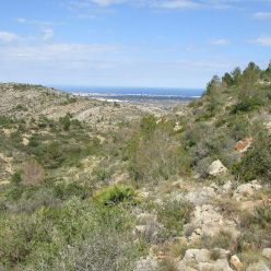 19-03-13-sierra-de-aixa-21
