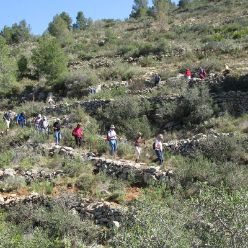 19-03-13-sierra-de-aixa-23