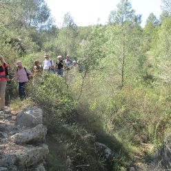 19-03-13-sierra-de-aixa-25