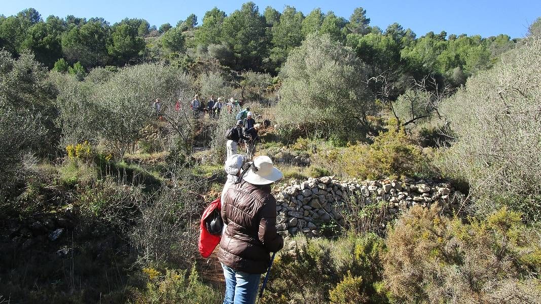 19-01-16-Sierra-de-Solana-14