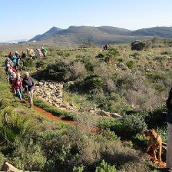 19-01-16-Sierra-de-Solana-03