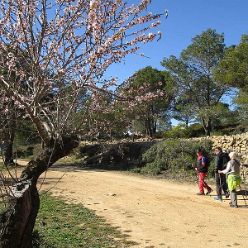 19-01-16-Sierra-de-Solana-07
