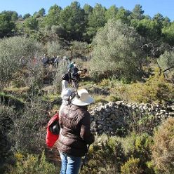 19-01-16-Sierra-de-Solana-14